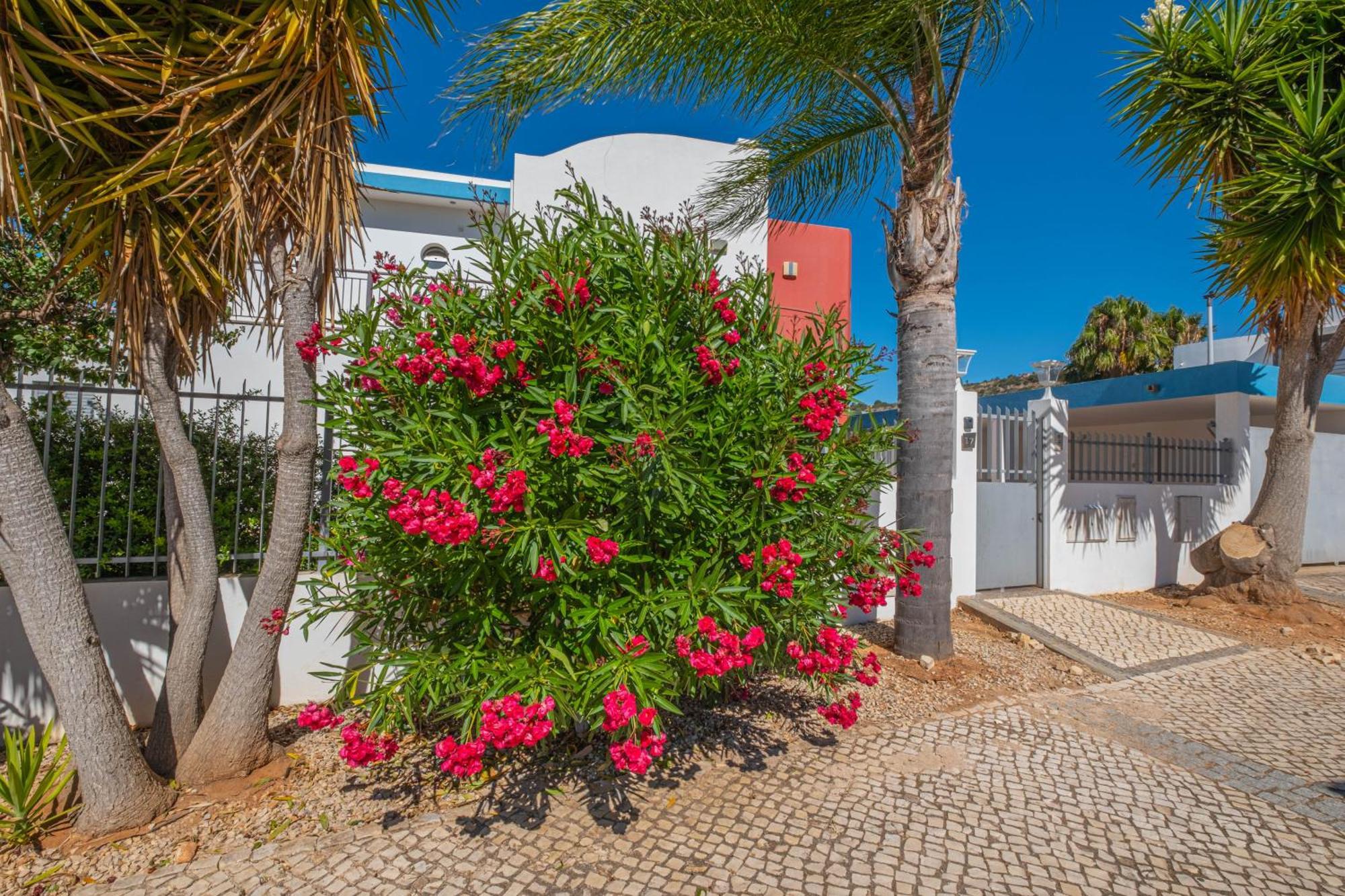 Capetown Marina Luxury Villa - Private Pool Albufeira Exteriör bild